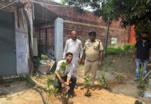 अनुमंडल पदाधिकारी सह प्रभारी जेल अधीक्षक, सरायकेला अभिनव प्रकाश के नेतृत्व में जिला कारा, सरायकेला परिसर में वृक्षारोपण कार्यक्रम